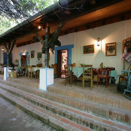 Salas 137 Hotel Cenej Exterior photo